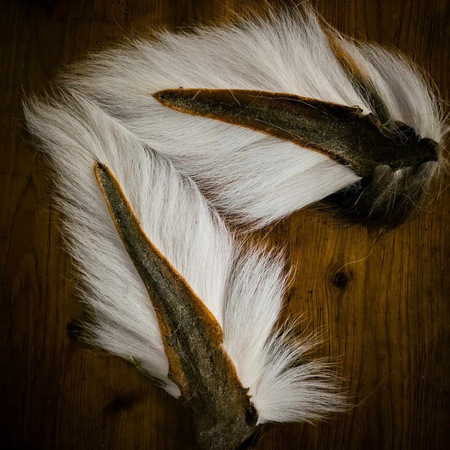 Premium Hand Selected Hollow/Deciever Bucktail