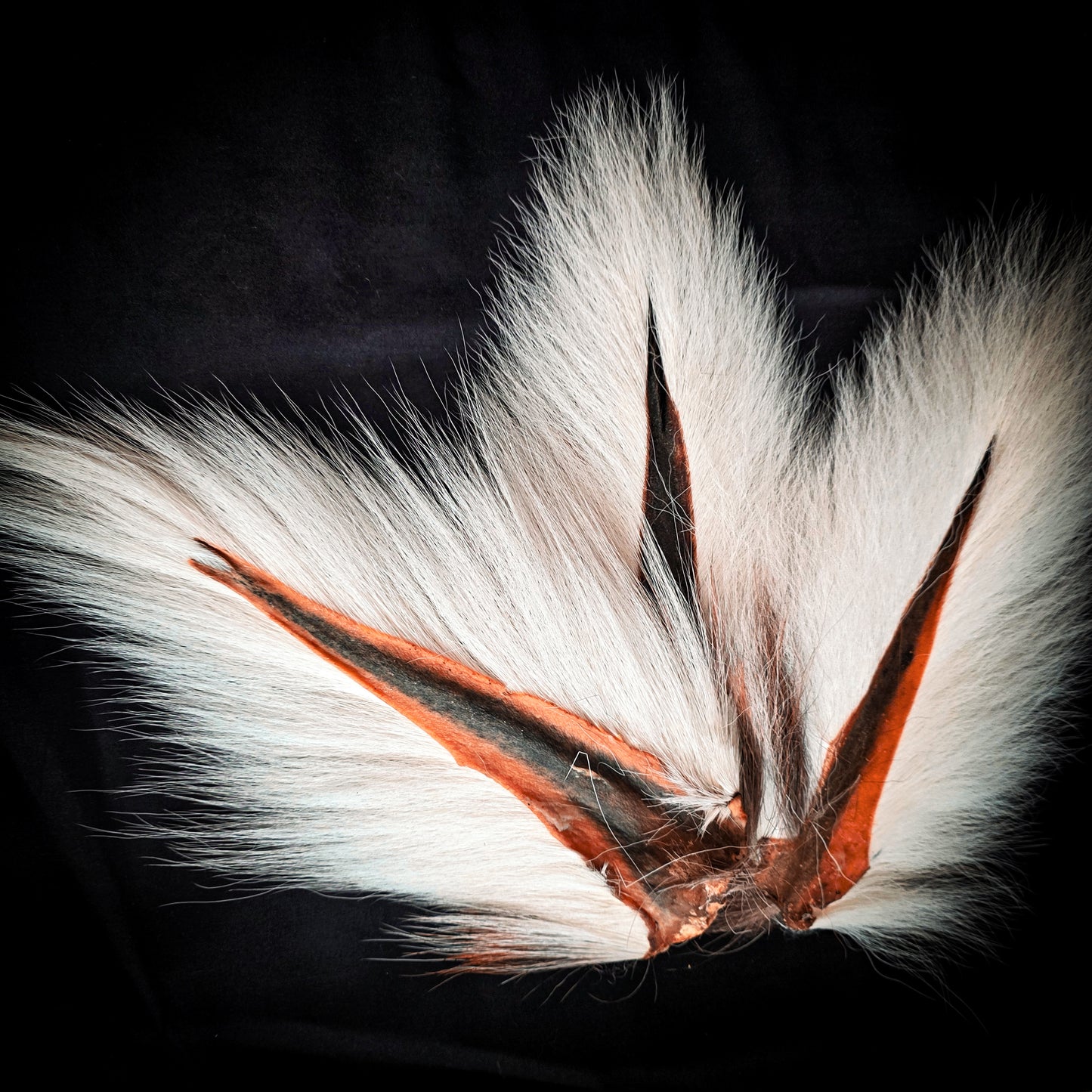 A+ Premium Grade Bucktail