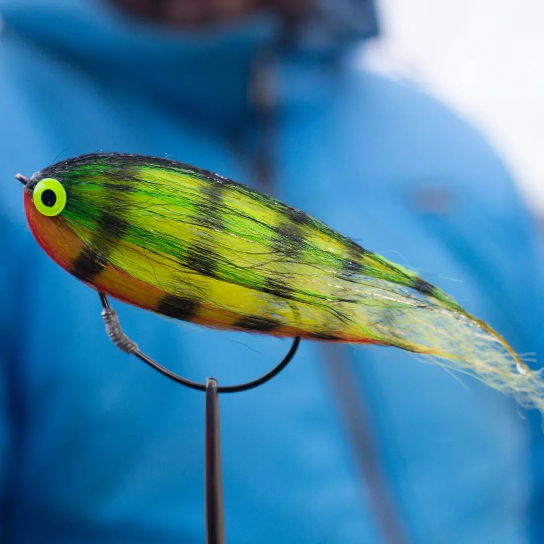 Weedless fire tiger perch