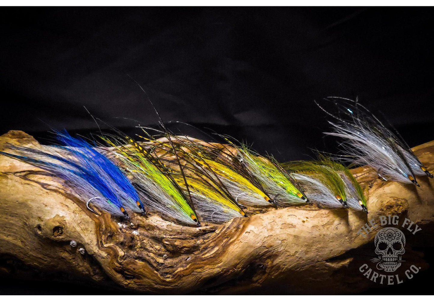 Flatwing Flies