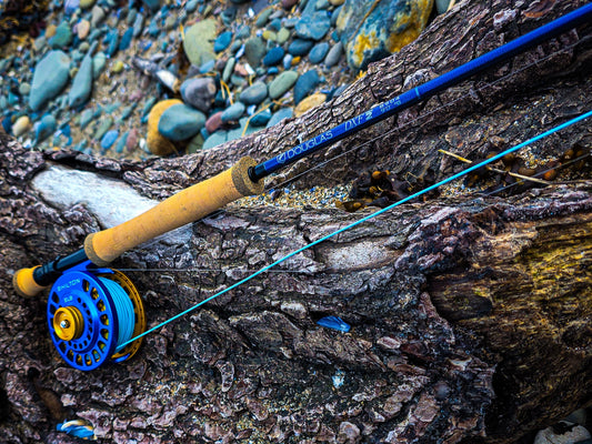 Saltwater Fly Fishing Season - The good, The Bad and the Blanks