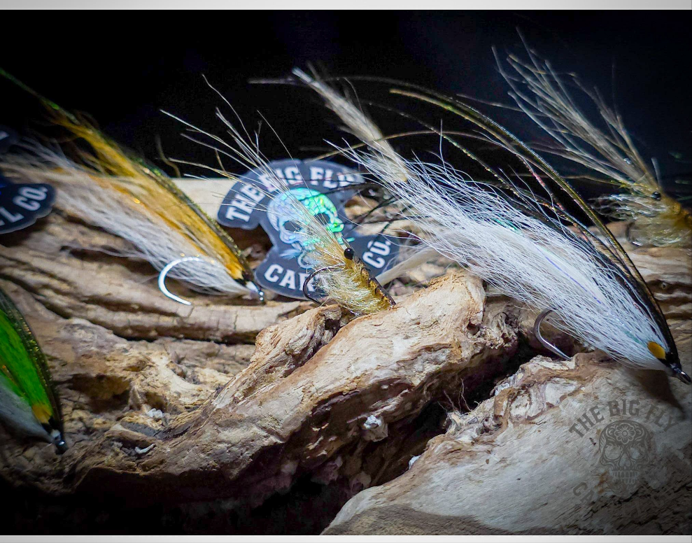 Bass Fly Box