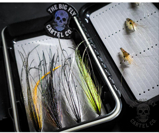 Bass Fly Box