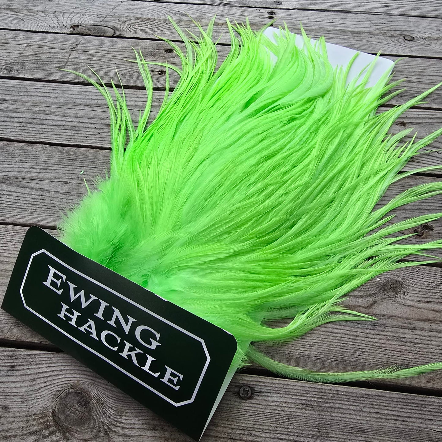 Salty Ewing Saddles!