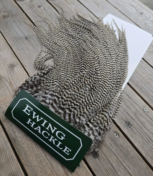 Ewing Hackle feather 