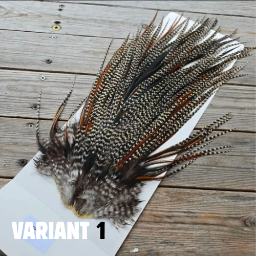 Ewing Dry Fly Saddle - Unique Variants