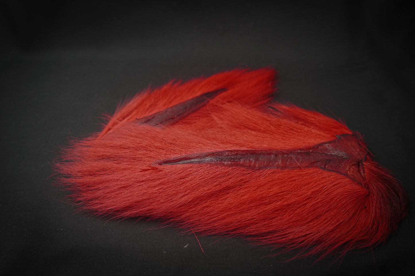 Bucktail!