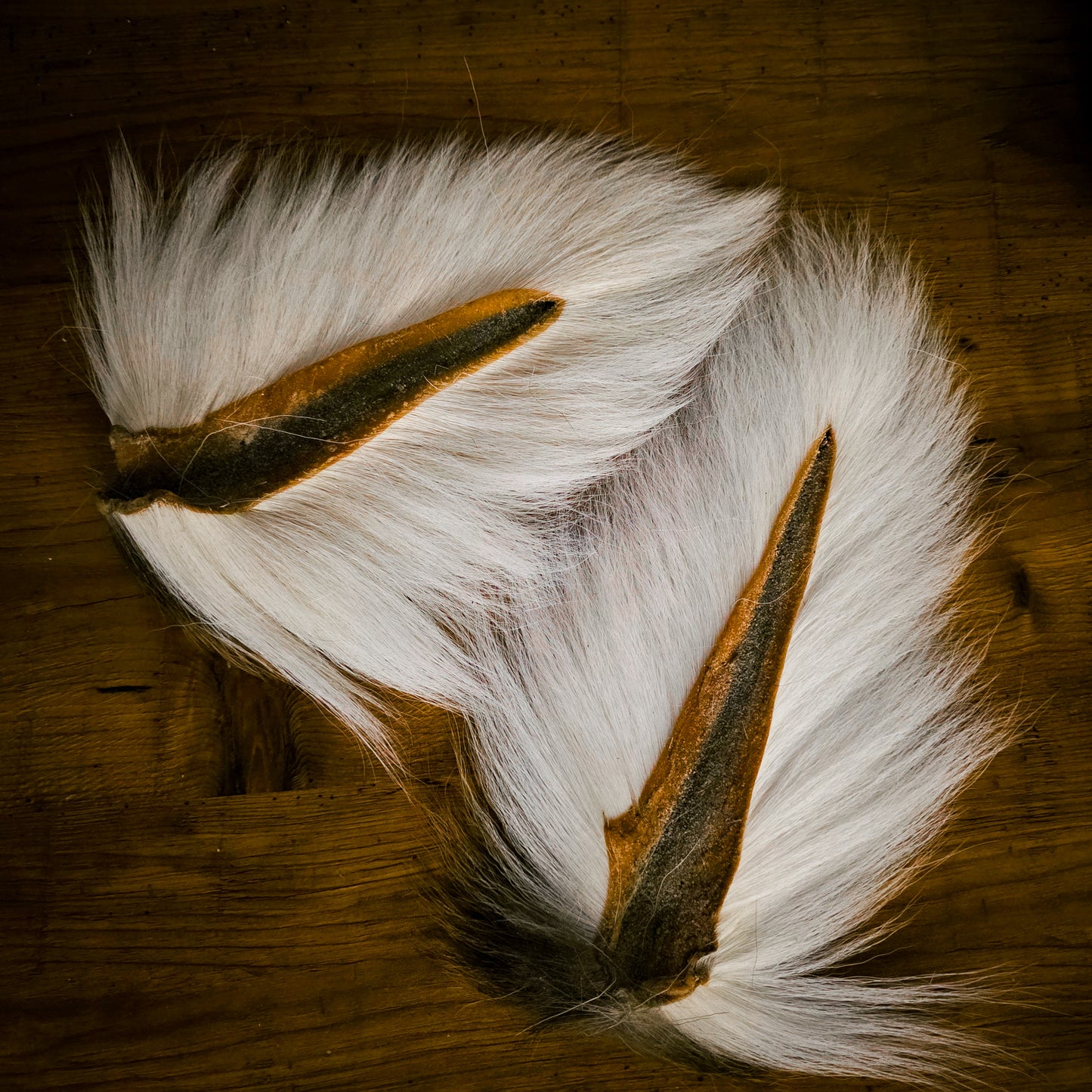 Premium Hand Selected Hollow/Deciever Bucktail