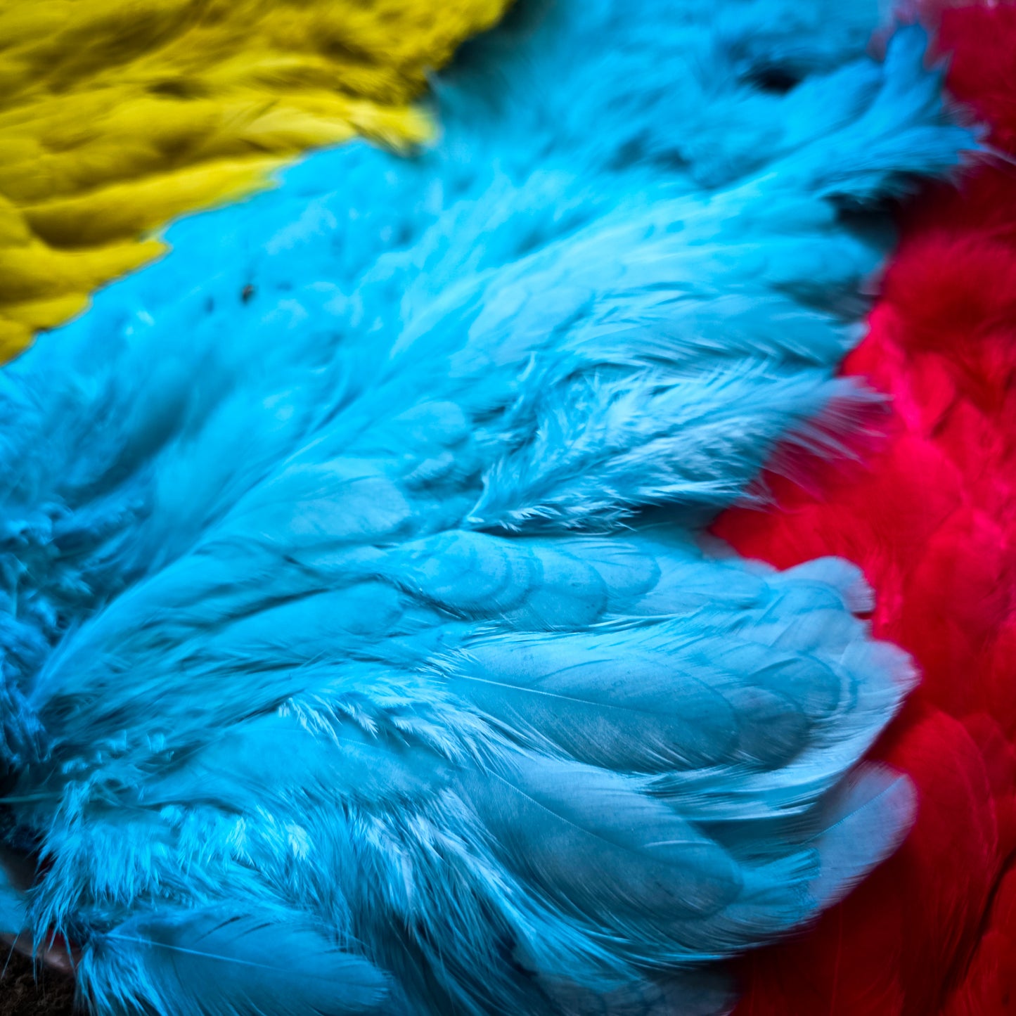 Ewing Marabou Patch (Chickabou)