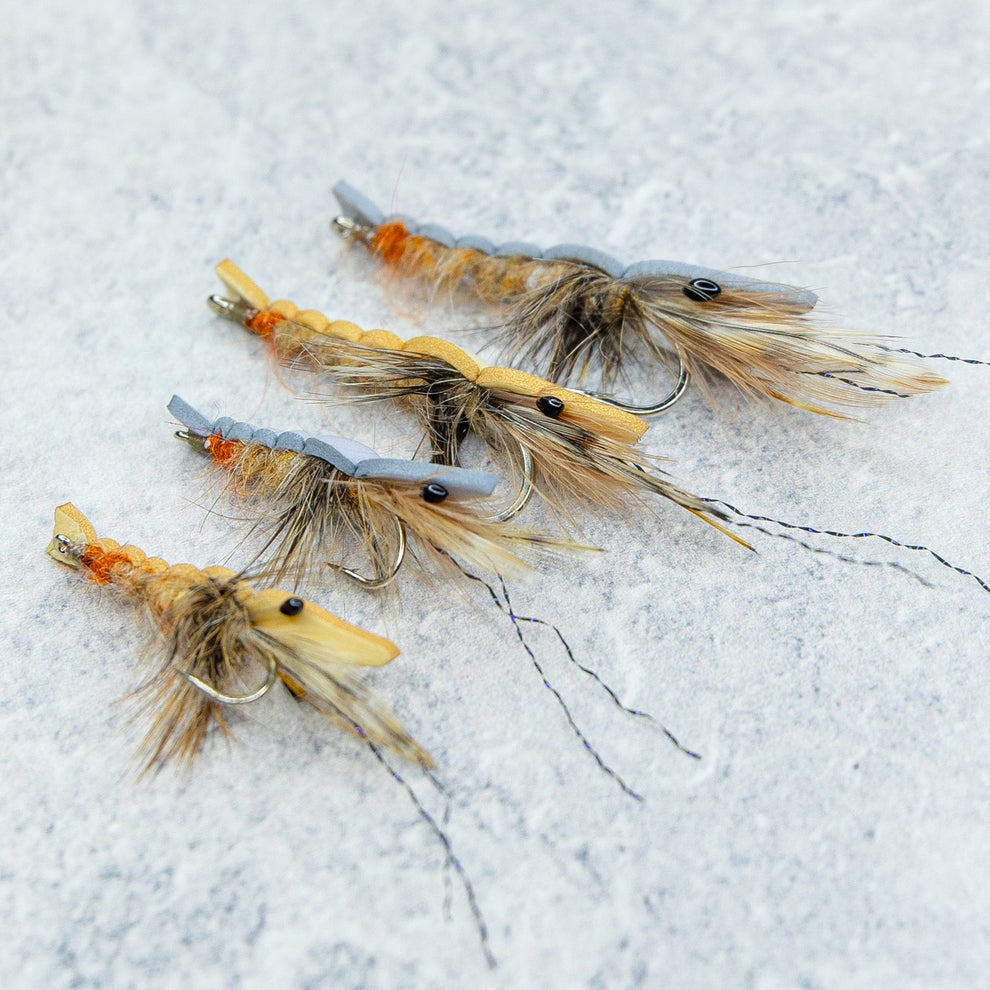 Scientific Floating Shrimp