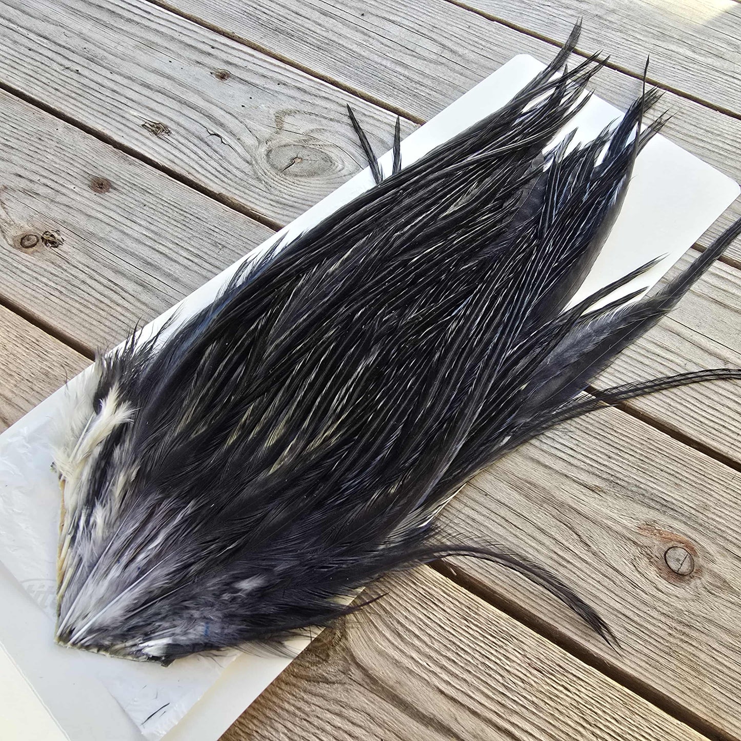 Ewing Saltwater Streamer Patch