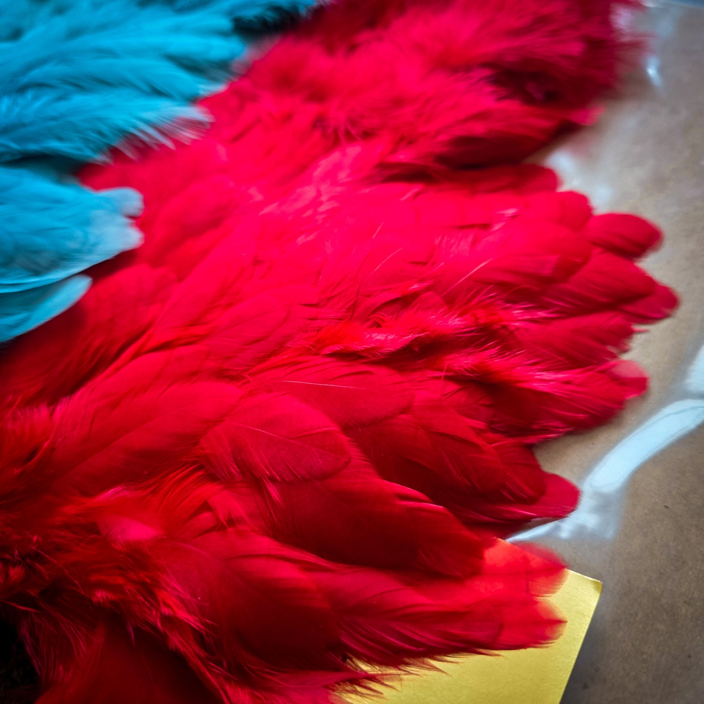 Ewing Marabou Patch (Chickabou)