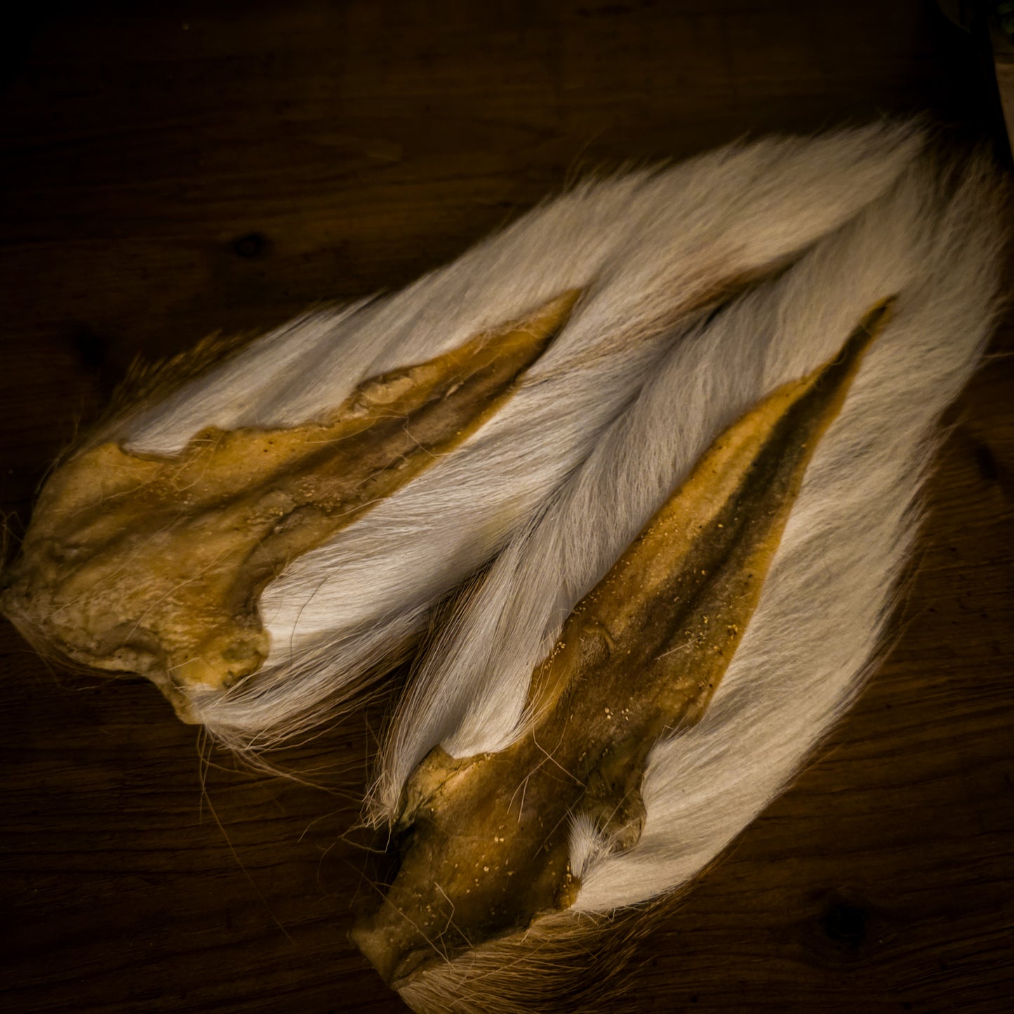 Hand Selected Bucktail - Premium Flatwing/Deciever Grade