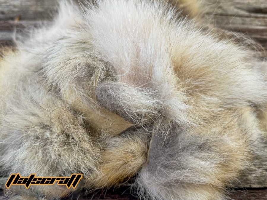 Coyote Fur