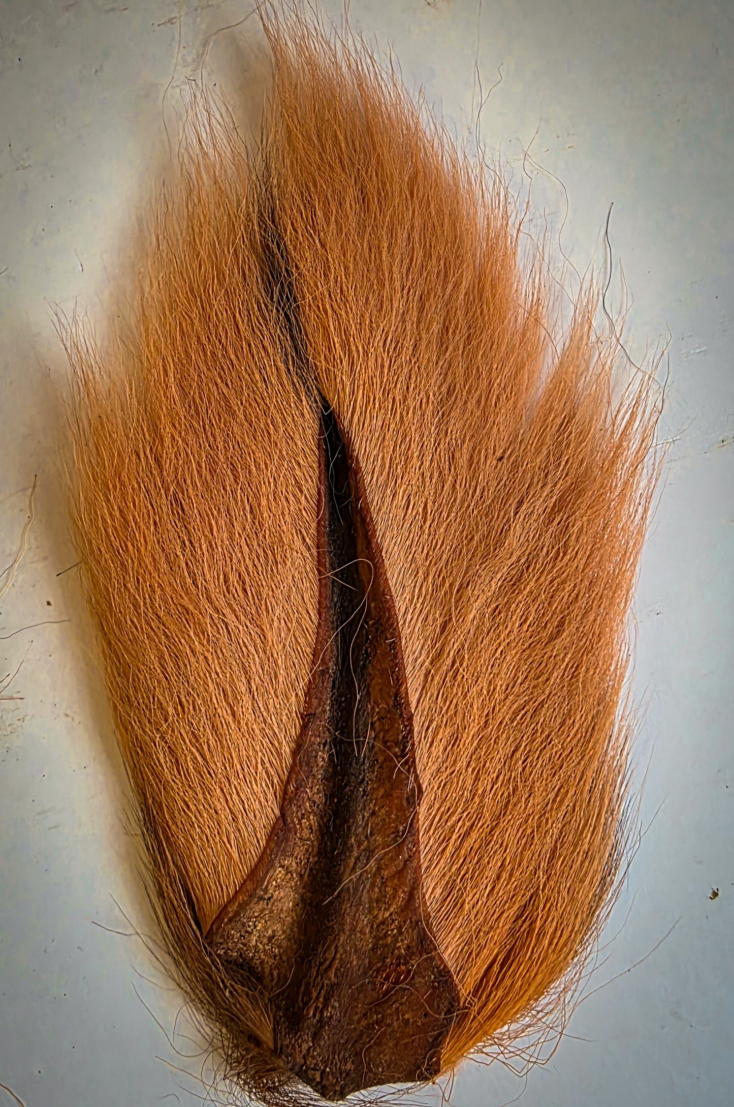 Bucktail - Salty Colours!