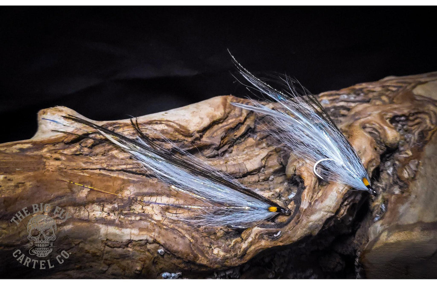 Flatwing Flies