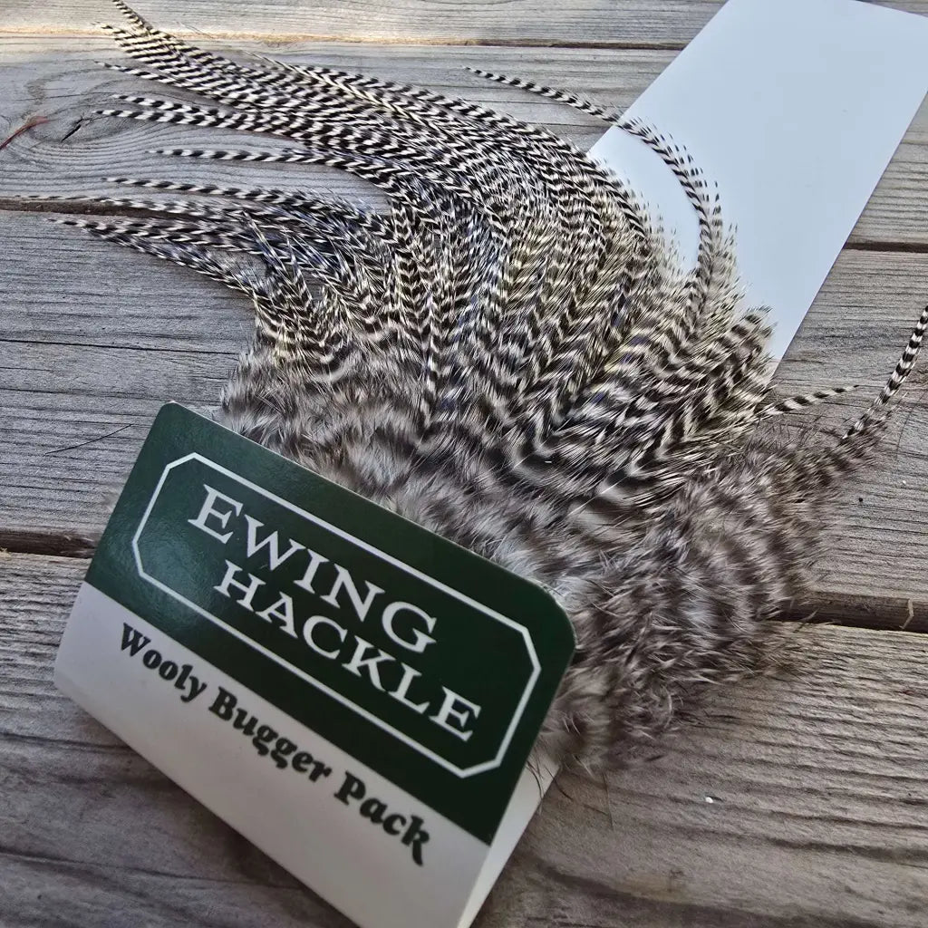 Ewing Wooly Bugger Pack