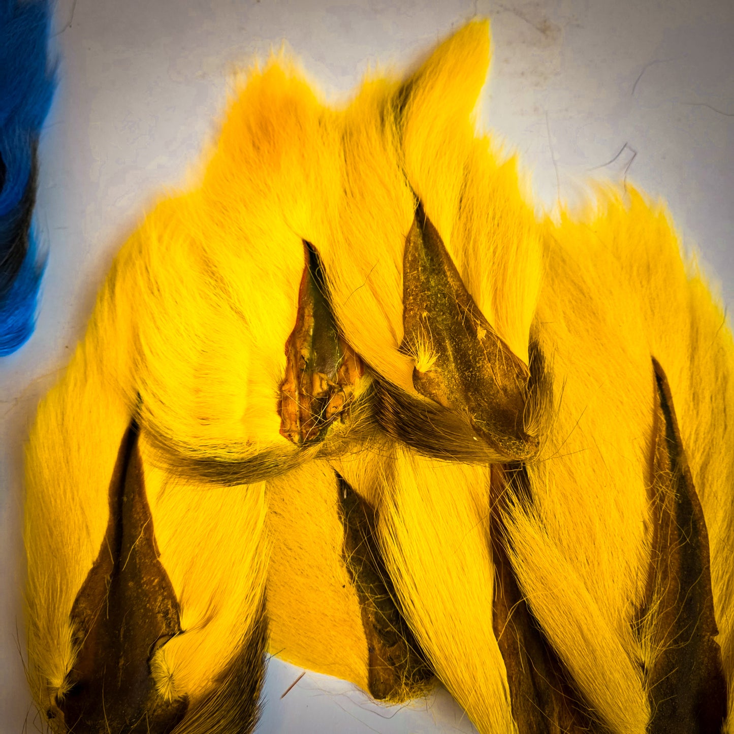 Bucktail - Salty Colours!