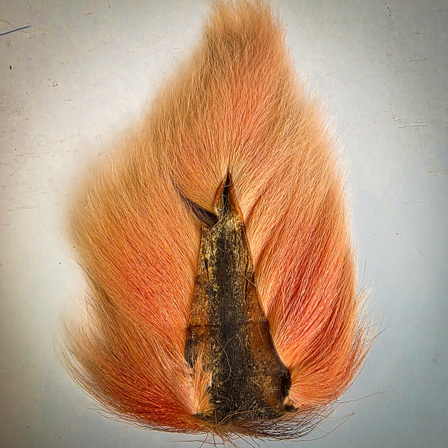 Bucktail - Salty Colours!