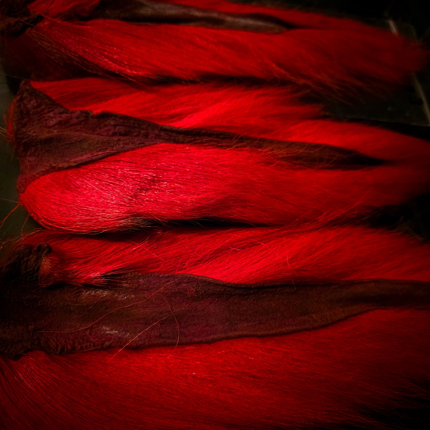 Hand Selected - Red