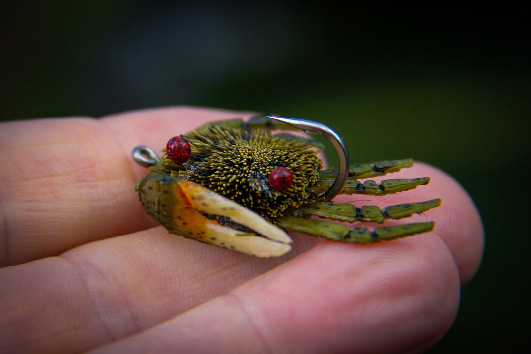 Flatscraft Fiddler Crab