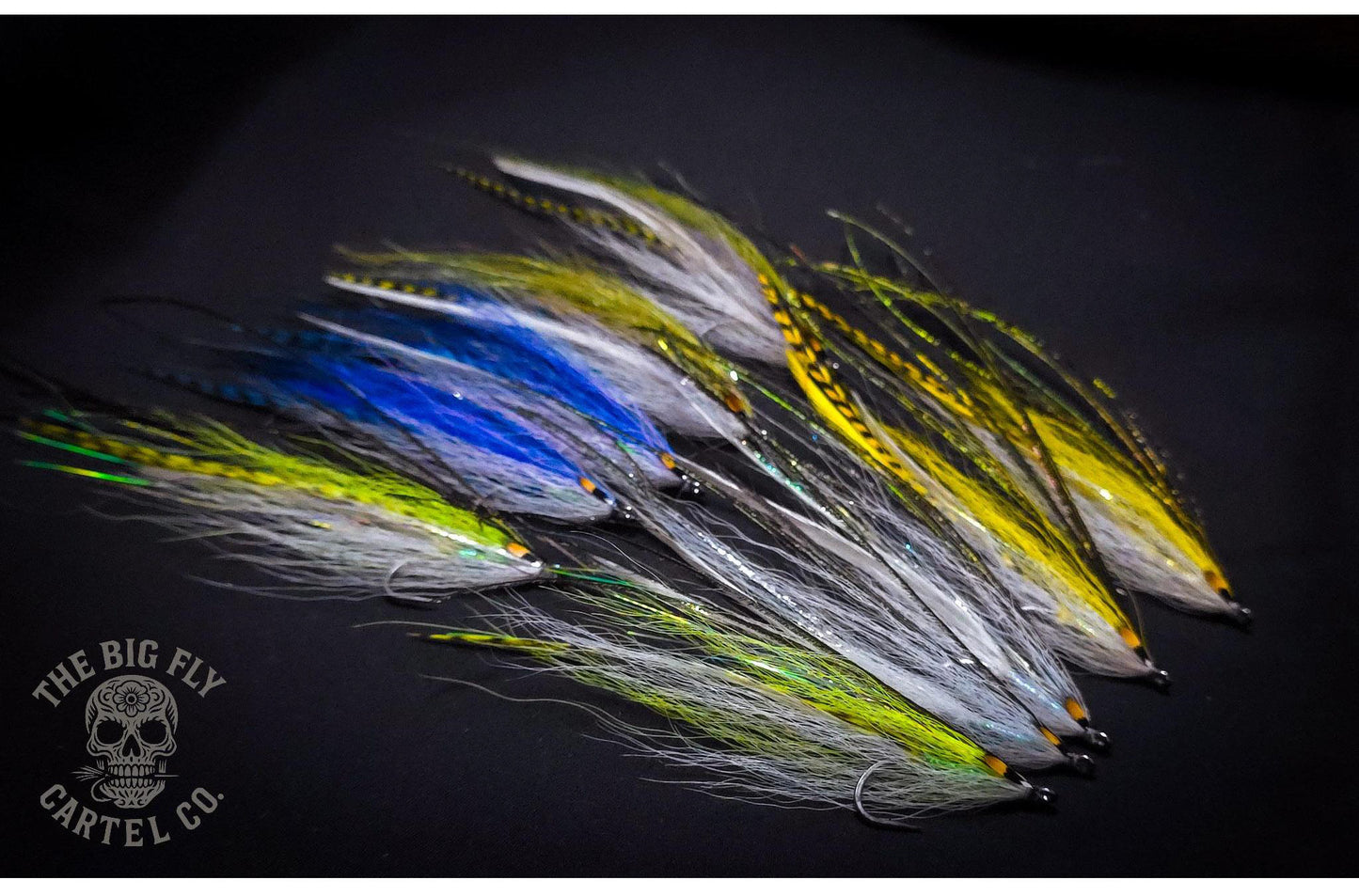 Flatwing Flies