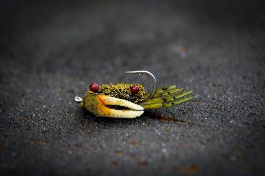 Flatscraft Fiddler Crab