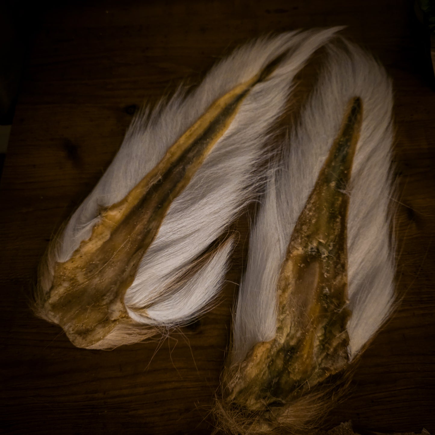 Hand Selected Bucktail - Premium Flatwing/Deciever Grade