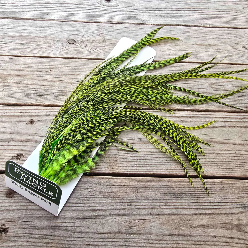 Ewing Wooly Bugger Pack